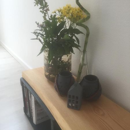Hojene Skovlunds Bed & Breakfast エクステリア 写真