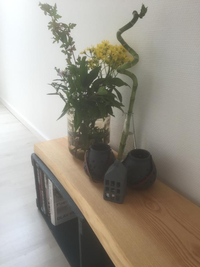 Hojene Skovlunds Bed & Breakfast エクステリア 写真