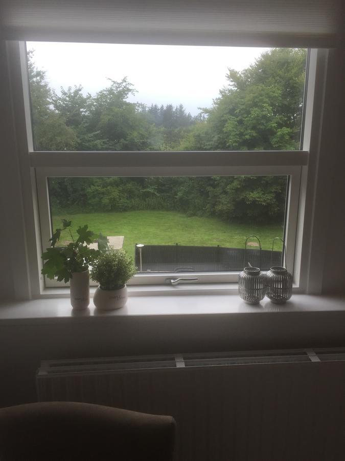 Hojene Skovlunds Bed & Breakfast エクステリア 写真